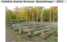 Łódzkie Aukcje Drewna  Specjalnego – 2023
